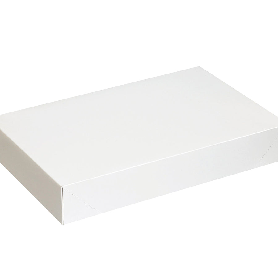19x12x3 White Chipboard Apparel Boxes 50-Pack AB19123W