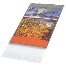 4.75x6.5 Clear View Poly Mailers B13210 - alias listing