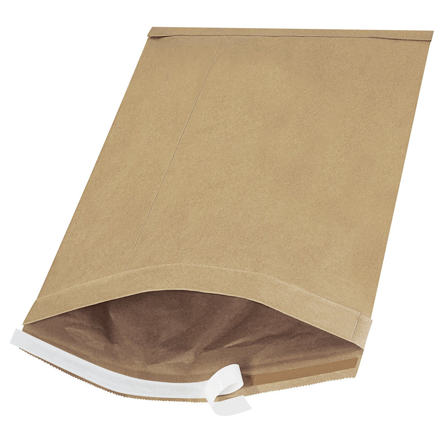 19x12.5 #6 Kraft Self-Seal Padded Mailers 25-Pack B810SS25PK - alias listing