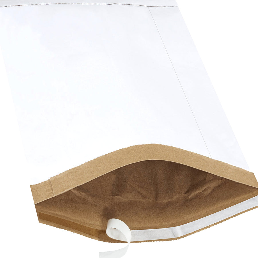 19x12.5 #6 White Self-Seal Padded Mailers 25-Pack B810WSS25PK - alias listing