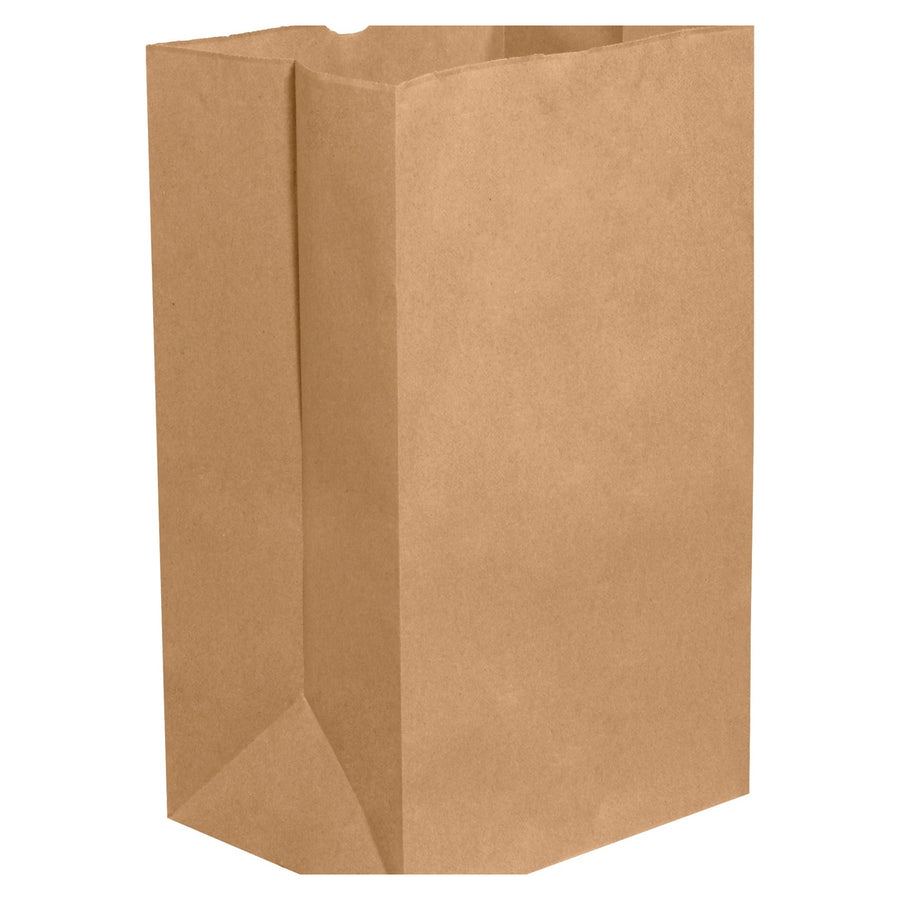 12x7x17 Kraft Paper Grocery Bags 500/Case BGG111K - alias listing
