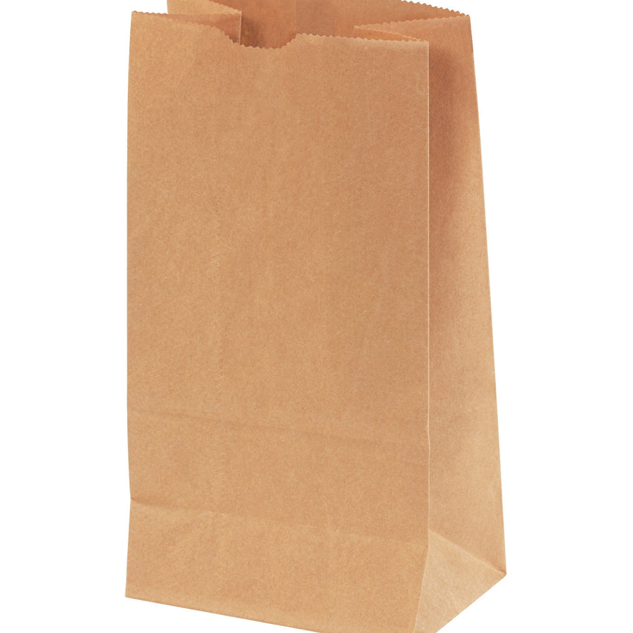 5x3.25x9.75 Kraft Heavy-Duty Hardware Bags 400/Case BGH123K - alias listing