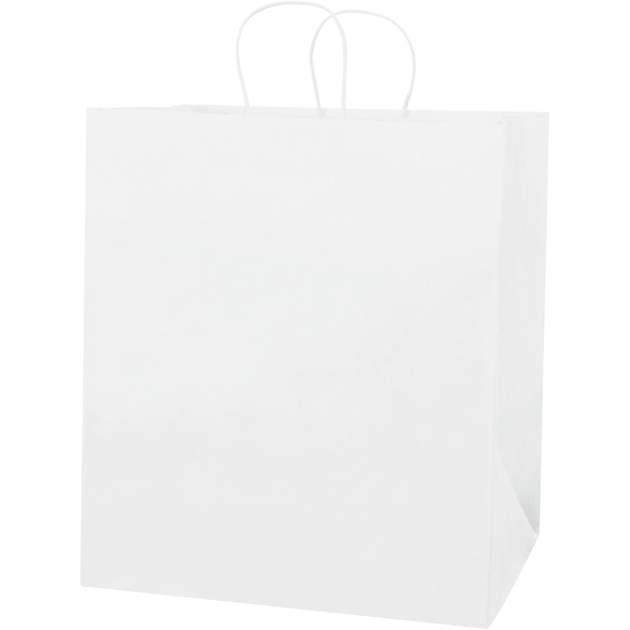 Professional-grade white paper shopping bags engineered for retail operations and bulk packaging. 14" x 10" x 16.25" dimensions with reinforced twisted handles that expand for easier loading. Case of 200 bagsβdurable 65 lb. basis weight, fully recyclable, and built to make a quality impression.