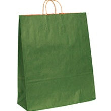 16x6x19.25 Green Tinted Shopping Bags BGS1119G - alias listing