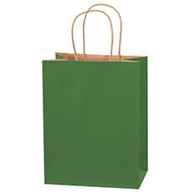 8x4.5x10.25 Green Tinted Shopping Bags