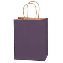 8x4.5x10.25 Purple Tinted Shopping Bags