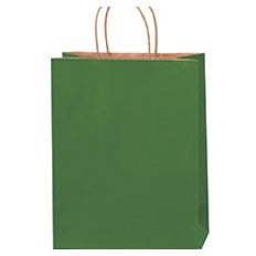 10x5x13 Green Tinted Shopping Bags BGS117G - alias listing