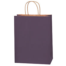 10x5x13 Purple Tinted Shopping Bags