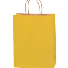 10x5x13 Yellow Tinted Shopping Bags BGS117Y