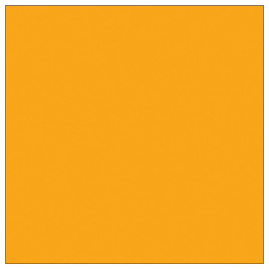 4x4 Fluorescent Orange Inventory Rectangle Labels Paper 500/Roll DL638H - alias listing