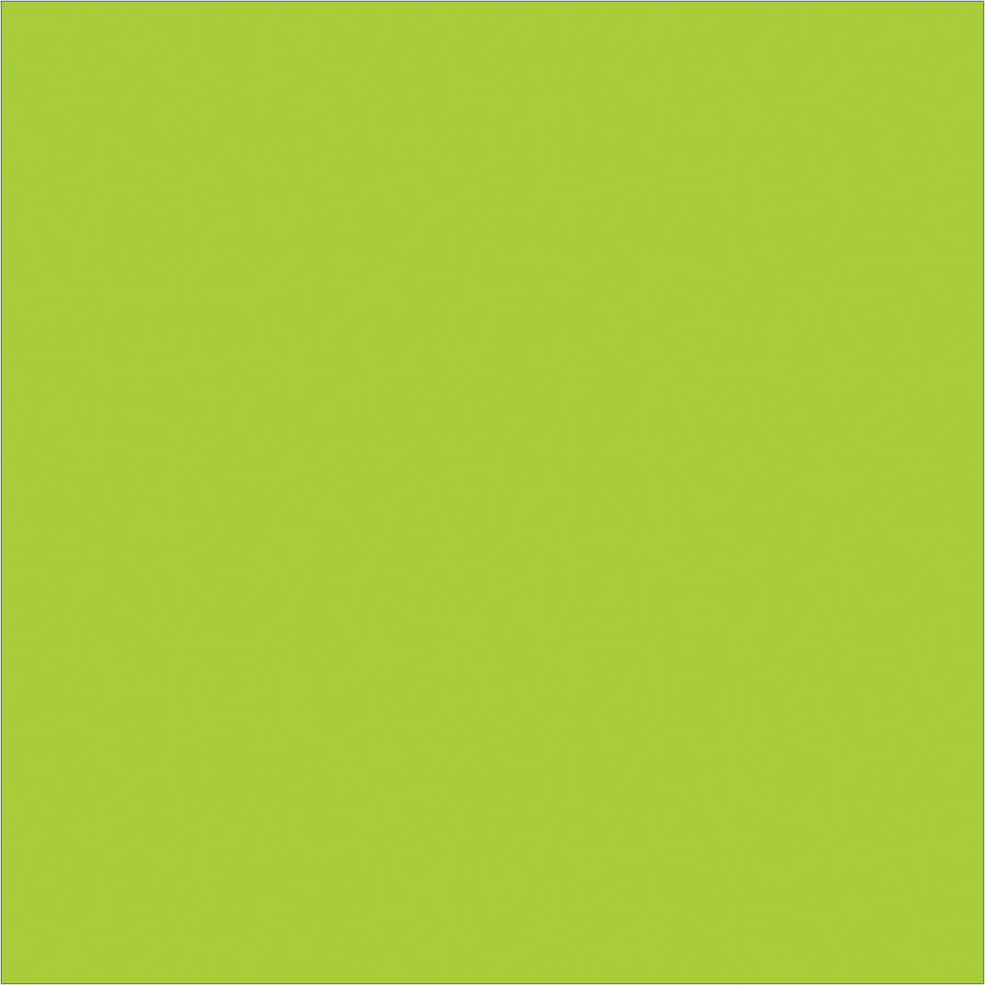 Bright fluorescent green 4x4" rectangle labels make inventory items instantly visible across your warehouse or distribution center. Sold as 500-label rolls on paper stock that accepts pen and marker writing. Compatible with Packrift table-top and wall-mounted label dispensers for streamlined workflow integration.