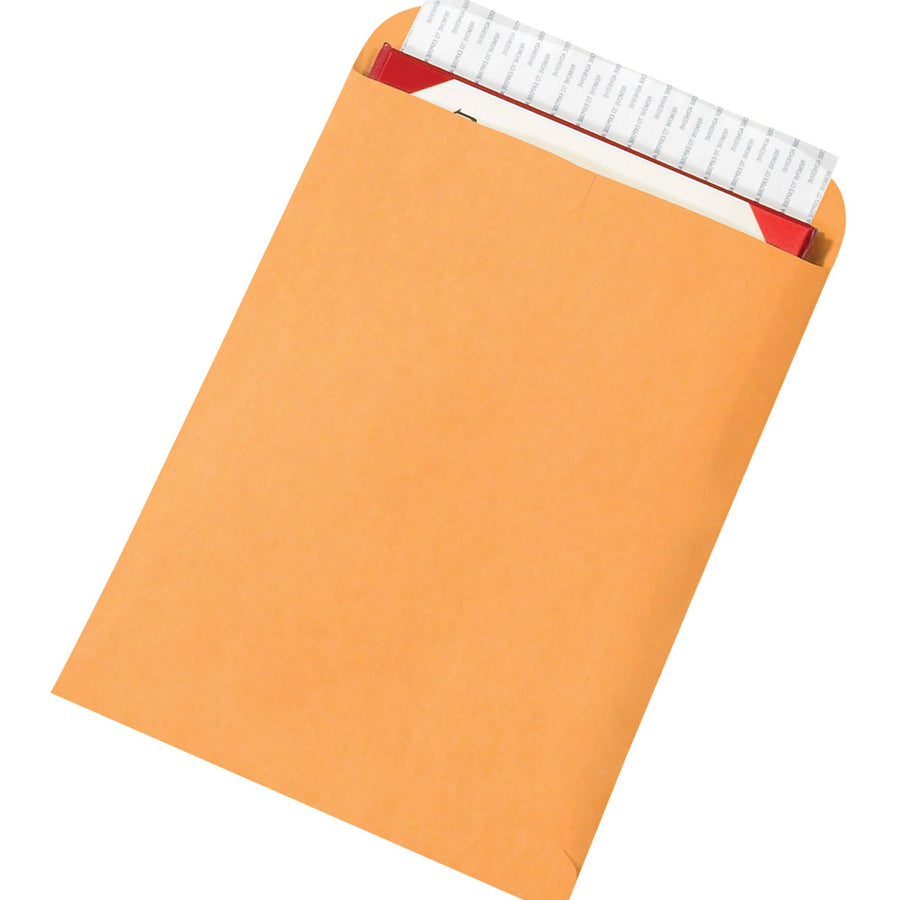 9x12 Kraft Self-Seal Envelopes 500/Case EN1060 - alias listing