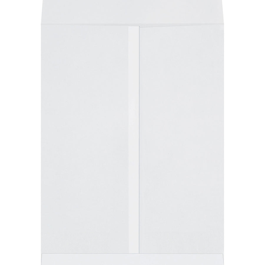 20x15 28 lb White Jumbo Envelopes 250/Case EN1082W - alias listing