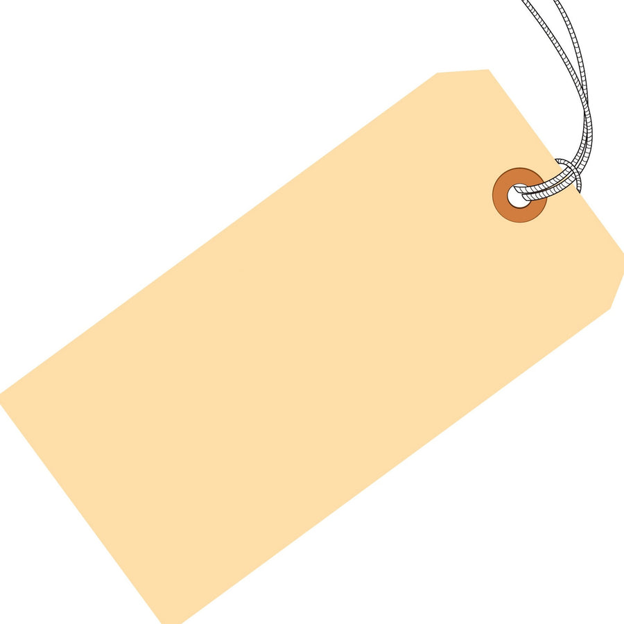 2 3/4 x 1 3/8 in 13 Pt Pre-Strung Manila Shipping Tags Cardstock 1000/Case G10012 - alias listing
