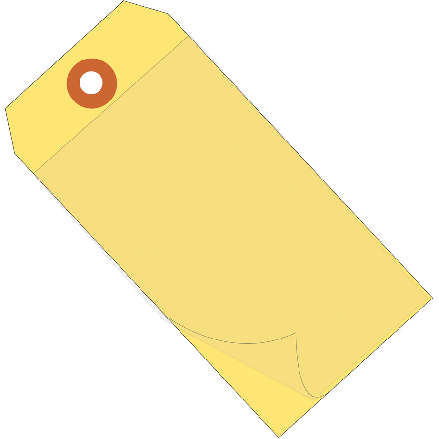 Professional-grade yellow self-laminating tags (6.25" x 3.13") protect your shipping labels from moisture, oils, and contaminants. 10 mil vinyl construction with reinforced metal eyelet withstands warehouse handling. One case = 100 tags; simply peel, write, press, and seal.