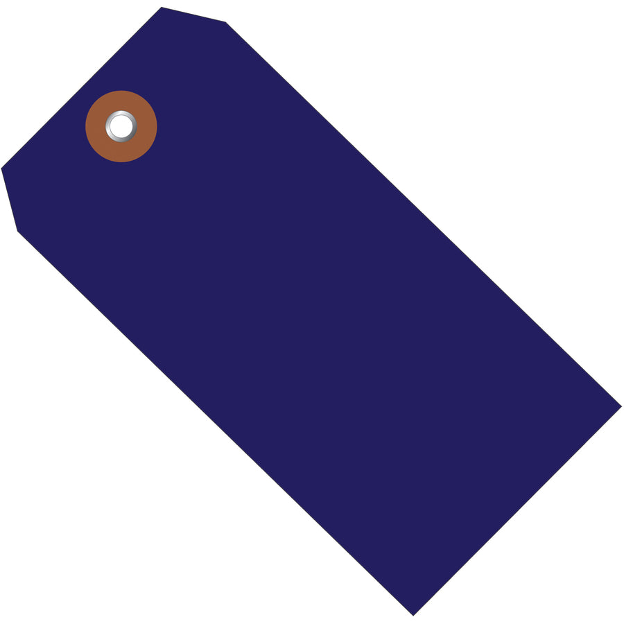 Heavy-duty 10 mil blue plastic shipping tags built to withstand harsh shipping and storage conditions. Each tag measures 6 1/4" x 3 1/8" with reinforced metal eyelet attachment points. Case of 100 tags‚cost-effective solution for warehouse labeling, inventory tracking, and shipment identification.