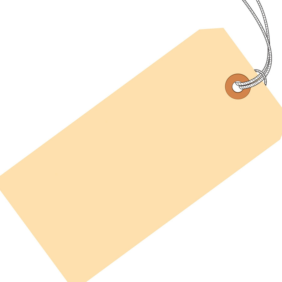 5 1/4 x 2 5/8 in 10 Pt Pre-Strung Manila Shipping Tags Cardstock 1000/Case G30062 - alias listing