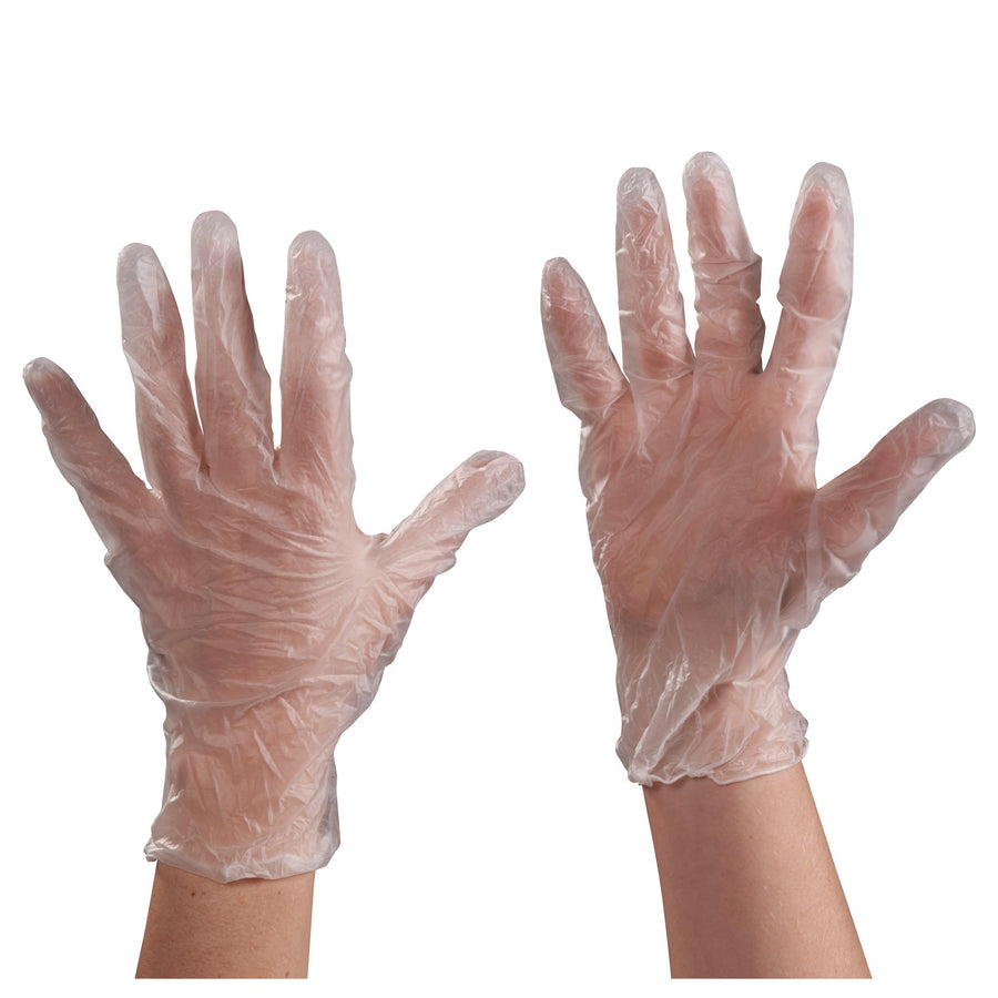 Large 3 Mil Clear Vinyl Powder Free Gloves 100/Case GLV2041L