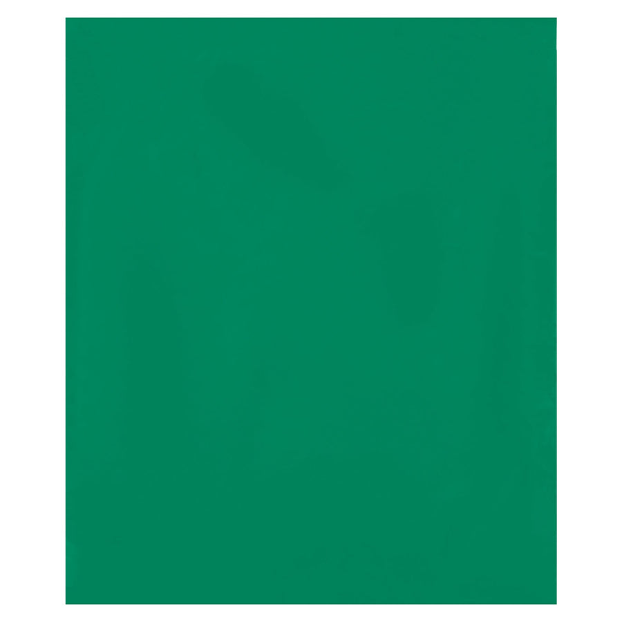 12x15 2 Mil Green Reclosable Poly Bags 1000/Case PB3670G - alias listing