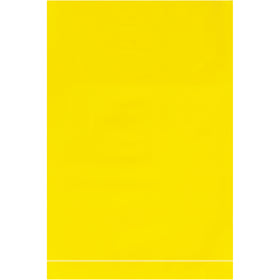 Protect your products with Packrift's 4 x 6" yellow 2 mil flat poly bags–the industry standard for light to medium-weight items. Each case includes 1,000 durable, food-safe bags that resist contamination and maintain product integrity. Reusable, cost-effective, and FDA/USDA compliant for immediate deployment.