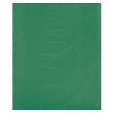 9x12 2 Mil Green Flat Poly Bags 100/Case PB480G100PK - alias listing