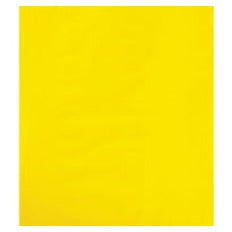 12x15 2 Mil Yellow Flat Poly Bags 100/Case PB534Y100PK - alias listing
