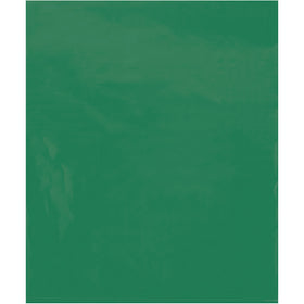 15x18" 2 Mil Green Poly Bags - 1000/Case Storage