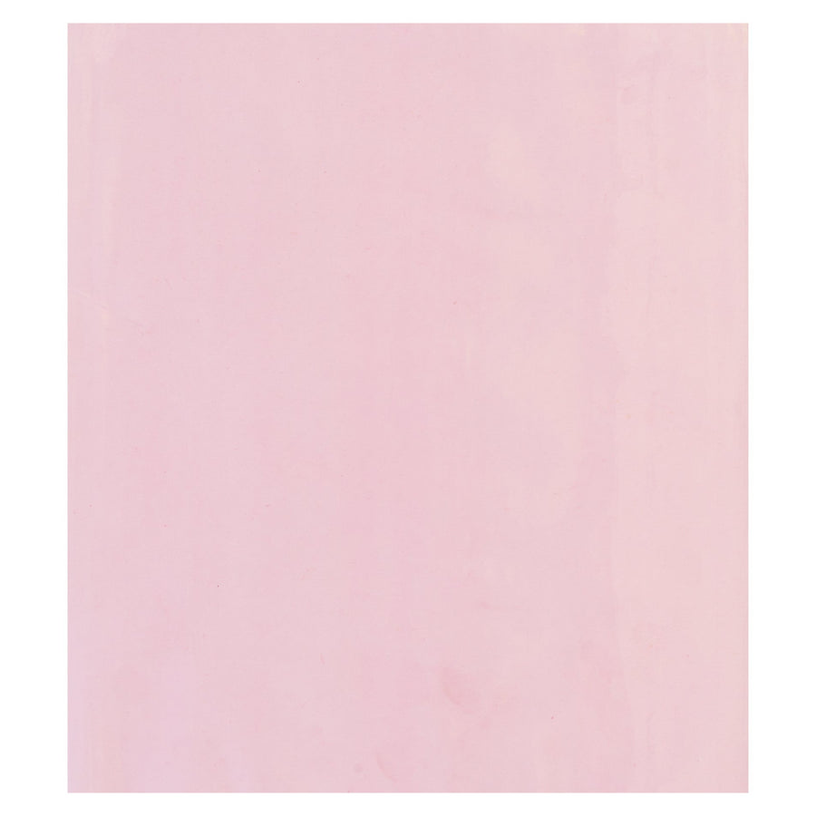 10x14 2 Mil Pink Flat Anti-Static Poly Bags 1000/Case PBAS510 - alias listing