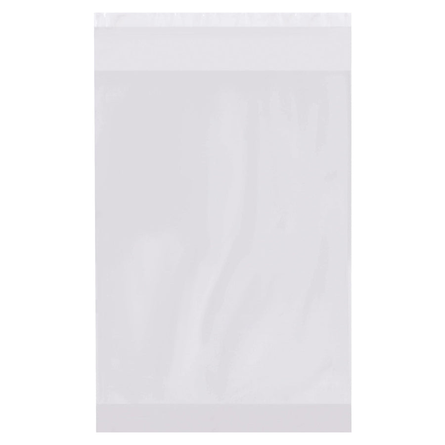 6x2x9 2 Mil Resealable Gusseted Expandable Poly Bags 1000/Case PRR060209