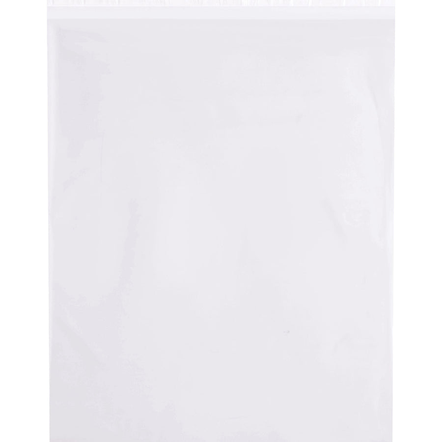 16x20 4 Mil Resealable Poly Bags 250/Case PRR162004