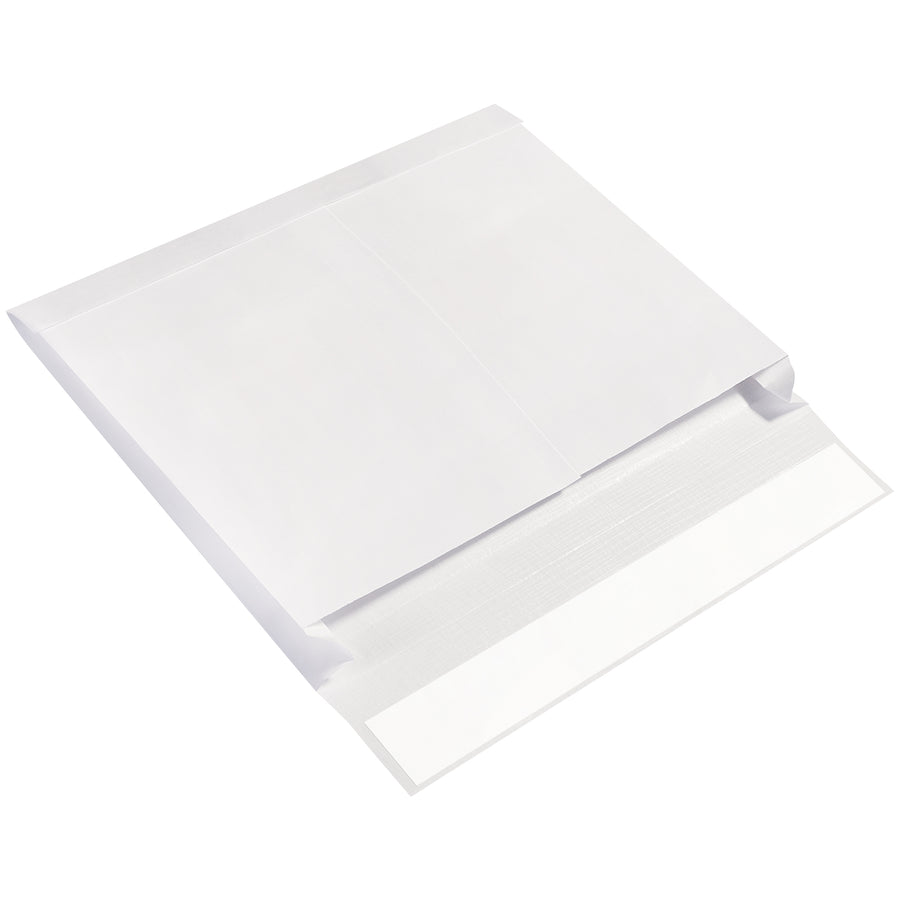 10x15x2" Expandable Ship-Lite® Envelopes, 26 lb. Reinforced Paper, Case of 100