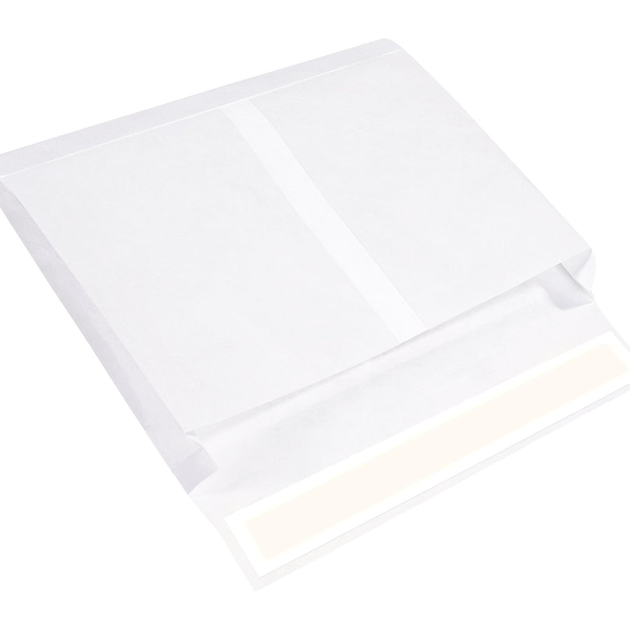 10x15x2 White Expandable Tyvek Envelopes 100/Case TYE10152WS - alias listing