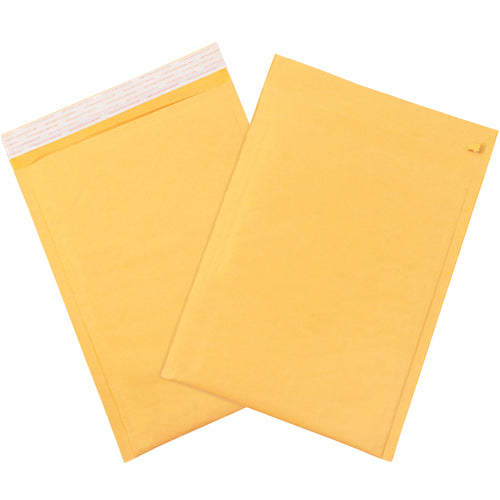 Lightweight protection for e-commerce shippers: 19x12.5
