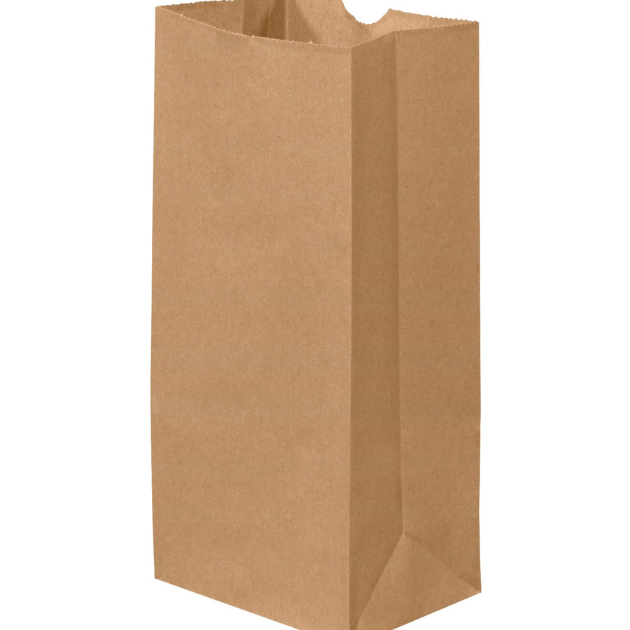 5 x 3 1/4 x 9 3/4 in 30 lb Kraft Grocery Bags 500-Pack BGG103K - alias listing