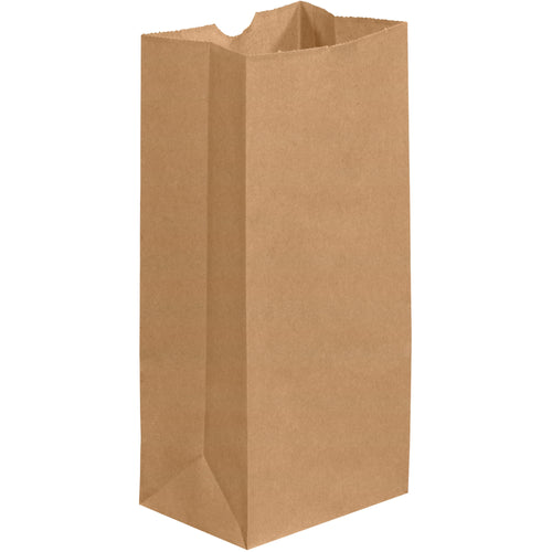 Heavy-duty kraft grocery bags engineered for retail, food service, and packaging operations. Dimensions 5 1/4
