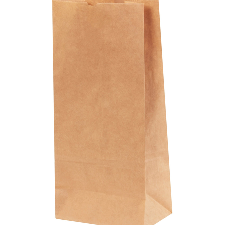 8.25x5.25x18 Kraft Heavy-Duty Hardware Bags 400/Case BGH131K - alias listing
