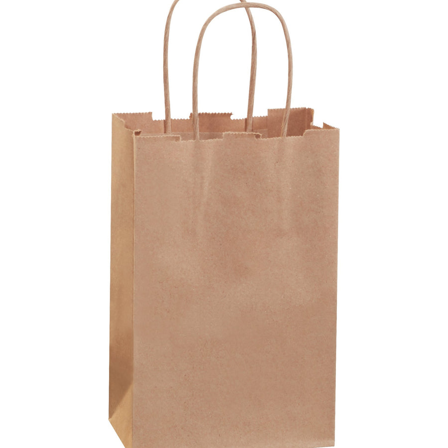 5.5x3.25x8.375 Kraft with Handles Paper Shopping Bags 250/Case BGS101K - alias listing