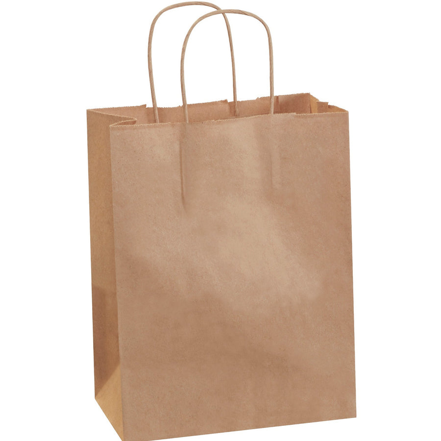 8x4.5x10 60 lb Kraft Heavy-Duty Paper Shopping Bags 250/Case BGS103K - alias listing