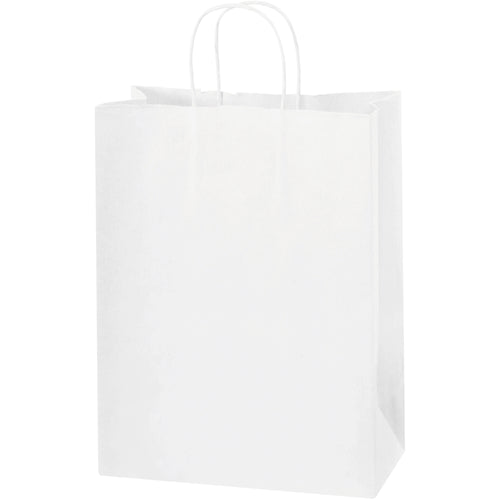 Professional-grade white paper shopping bags built for retail durability and cost efficiency. 10