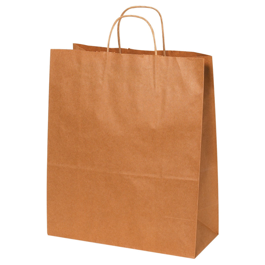 13x6x15.75 Kraft Heavy-Duty Paper Shopping Bags 250/Case BGS105K - alias listing