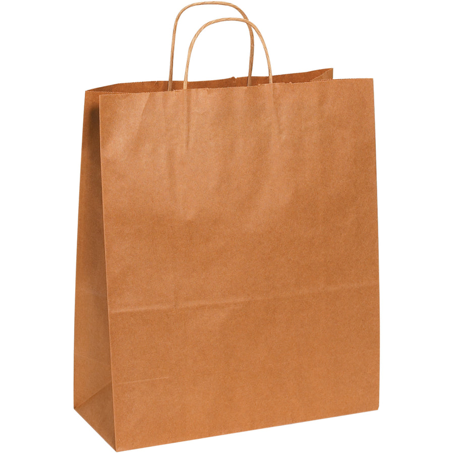 Premium 60 lb. basis weight kraft paper shopping bags designed for retail durability and reusability. Features square bottoms for easy loading and strong twisted paper handles that ensure comfortable, secure carrying. Sold by the case of 250 bags–the cost-efficient choice for high-volume retail operations.