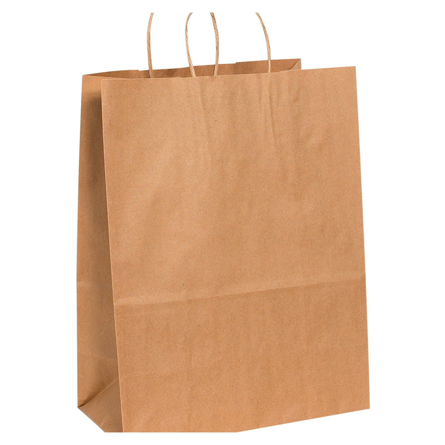 13x7x17 60 lb Kraft Heavy-Duty Paper Shopping Bags 250/Case BGS106K - alias listing