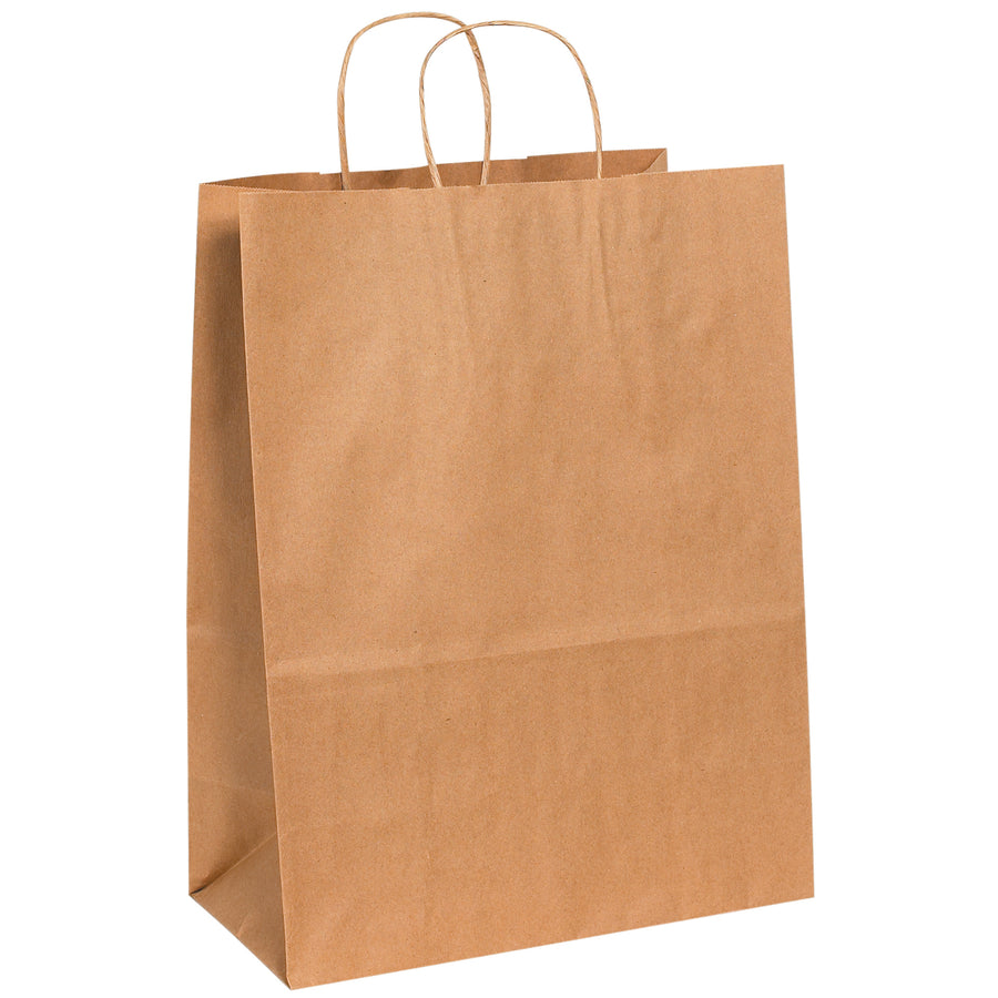 Professional-grade kraft paper shopping bags designed for retail, e-commerce, and gift packaging. Each bag measures 13" x 7" x 17" with durable 60 lb. basis weight, reinforced twisted handles, and flat bottoms for stability. Sold in convenient cases of 250 units.