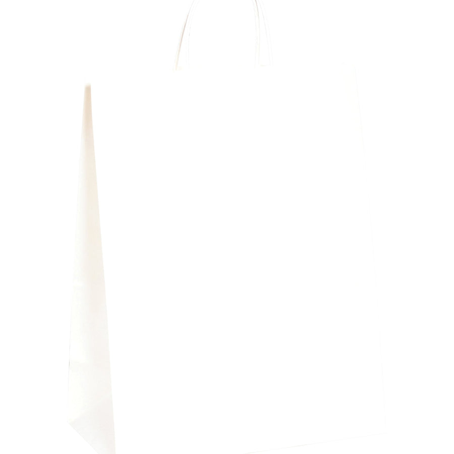 13x7x17 65 lb White Heavy-Duty Paper Shopping Bags 250/Case BGS106W - alias listing