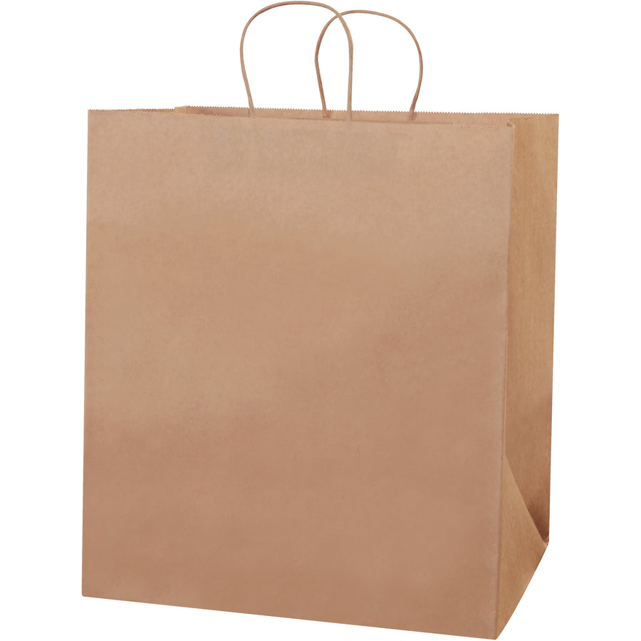 Heavy-duty kraft paper shopping bags designed for retail businesses and bulk gifting needs. Featuring 60 lb. basis weight construction with sturdy twisted paper handles and square bottoms for reliable, comfortable carrying. Sold as a case of 200 reusable and recyclable bags–the cost-effective choice for high-volume retail operations.
