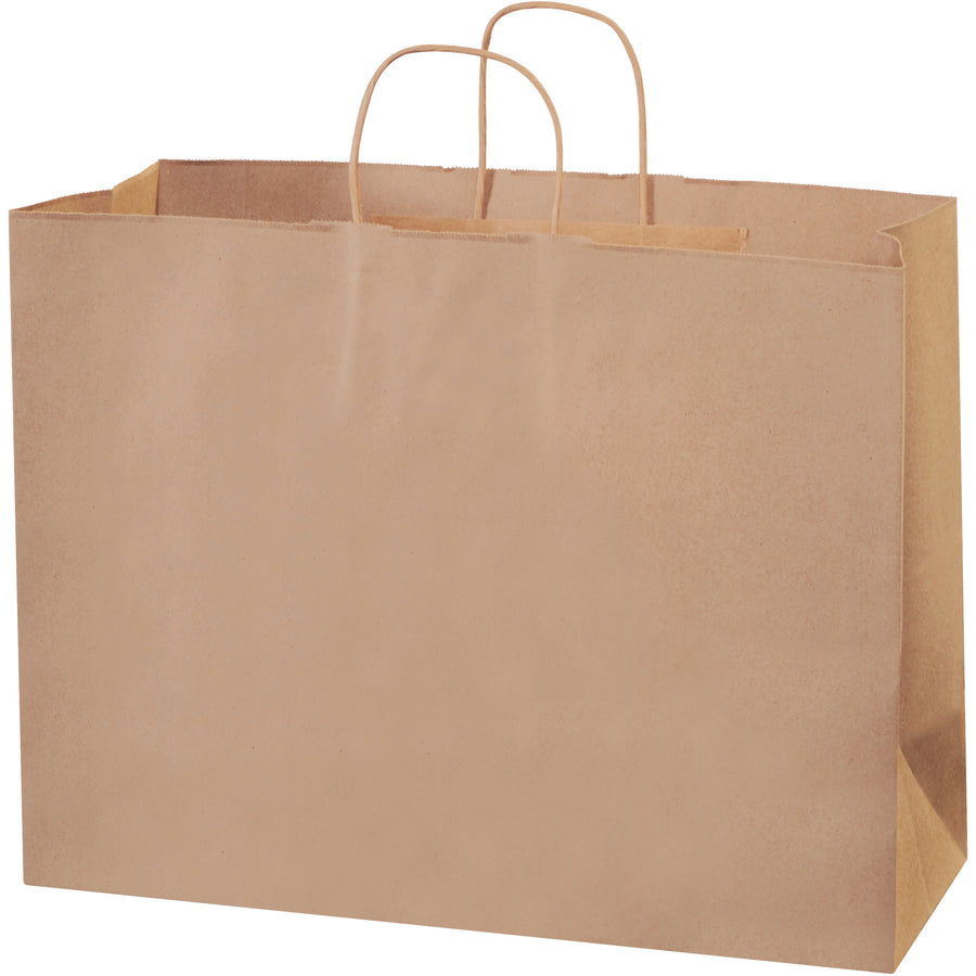 Heavy-duty 16x6x12 kraft shopping bags deliver maximum durability for retail and gift applications. Features 65 lb. basis weight material, square bottoms for stable loading, and strong twisted paper handles. Sold as a case of 250–cost-effective, reusable, and fully recyclable.