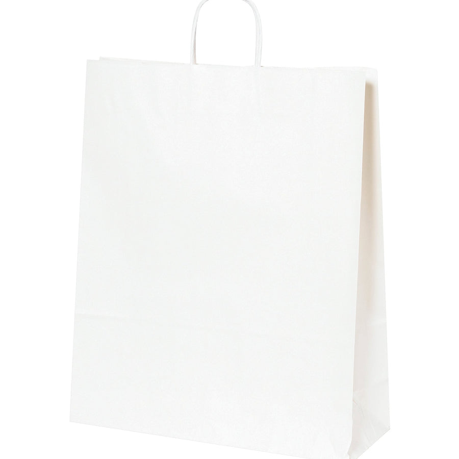 16x6x19 65 lb White Twisted Handles Paper Shopping Bags 200/Case BGS110W - alias listing