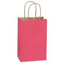 5.5x3.25x8.38 Pink Tinted Shopping Bags BGS114PI - alias listing