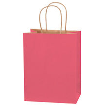 8x4.5x10.25 Pink Tinted Shopping Bags