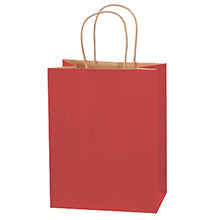 8x4.5x10.25 Red Tinted Shopping Bags